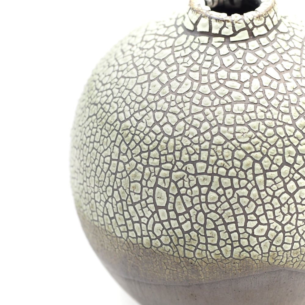 Image of Lichen Vase 01