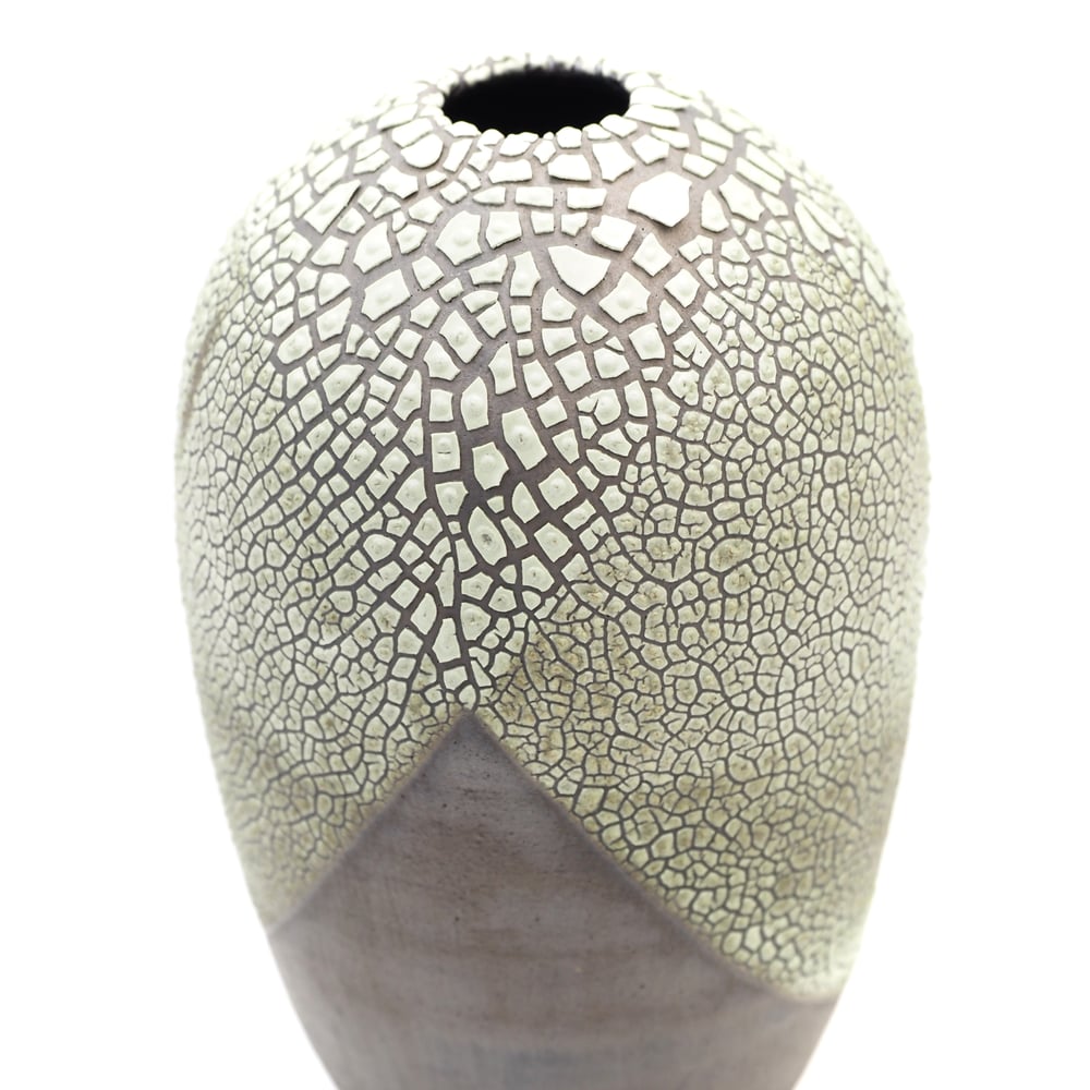 Image of Lichen Vase 03