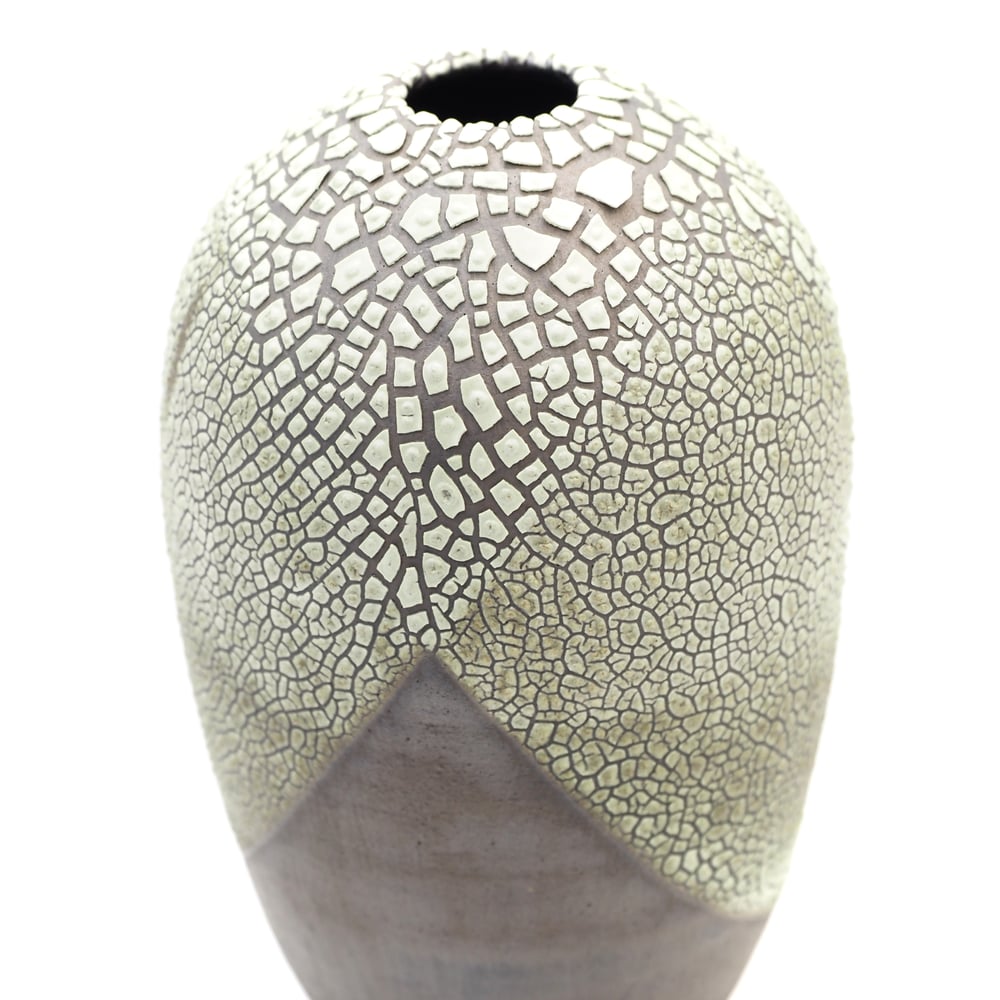 Image of Lichen Vase 02