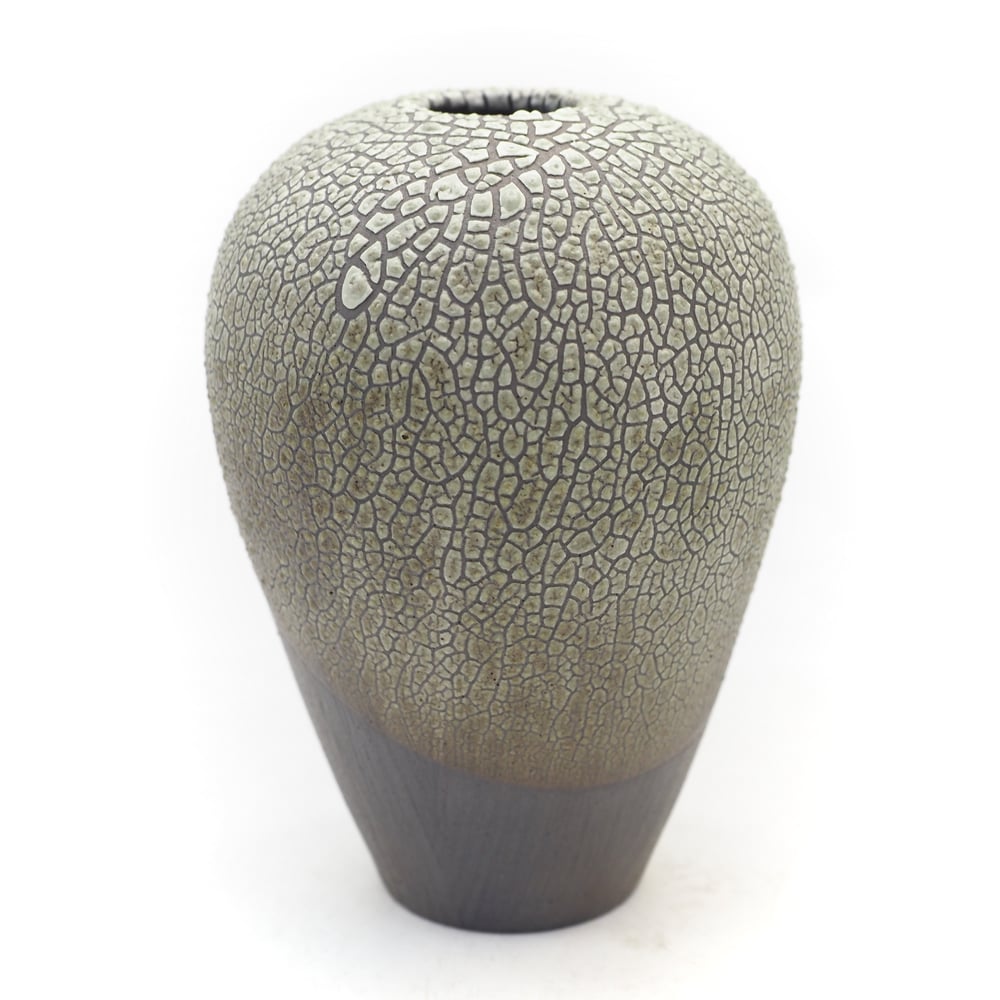 Image of Lichen Vase 05