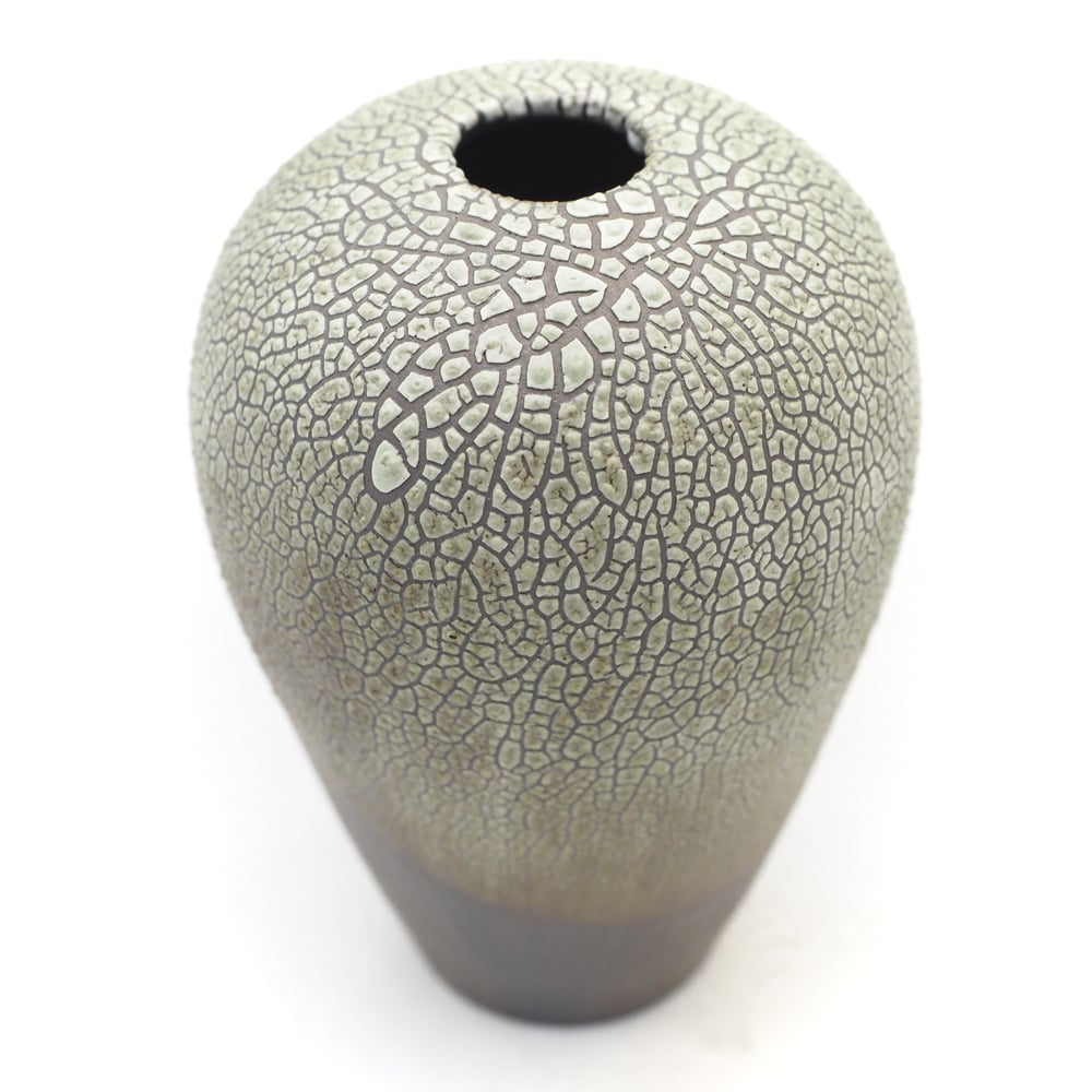 Image of Lichen Vase 05