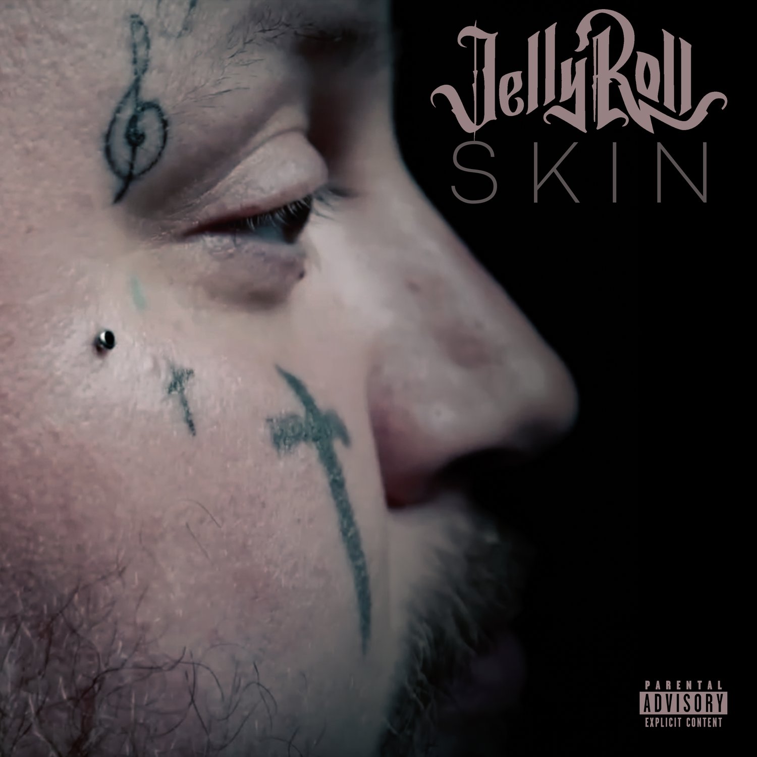 Image of Jelly Roll - SKIN SIGNED CD