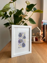 Image 2 of Pressed flower frame - small 
