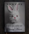 The Death of Bunny Munro, by Nick Cave