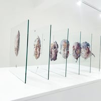 Image 3 of ‘Evanesce’ 1 to 6, 2019-20 DAVID TUCKER