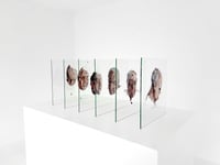 Image 1 of ‘Evanesce’ 1 to 6, 2019-20 DAVID TUCKER
