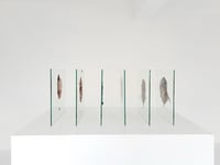 Image 2 of ‘Evanesce’ 1 to 6, 2019-20 DAVID TUCKER