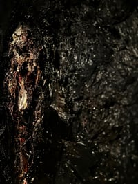 Image 4 of ‘Darkened Oils 2’, 2023 DAVID TUCKER