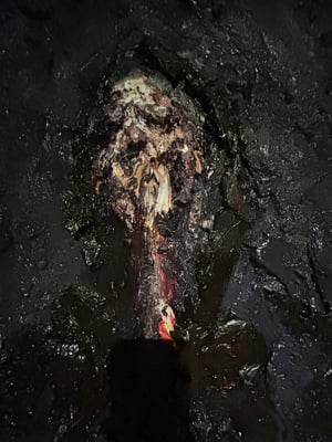 Image of ‘Darkened Oils 2’, 2023 DAVID TUCKER