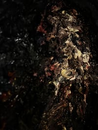 Image 3 of ‘Darkened Oils 3’, 2023 DAVID TUCKER