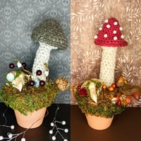 Image 1 of Owl Mushroom Planter 