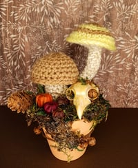 Image 1 of Woodland Mushroom Planter 