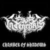 Esus In Tenebris - Chamber Of Shadows - CD