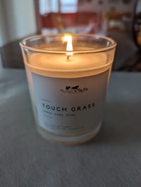 Image 2 of Touch Grass Soy Wax Candle