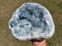 Image 9 of Large Celestite Open Cluster #2356