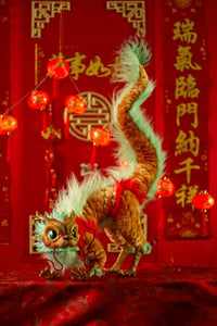 Image 4 of PREORDER Chinese imperial dragon artdoll