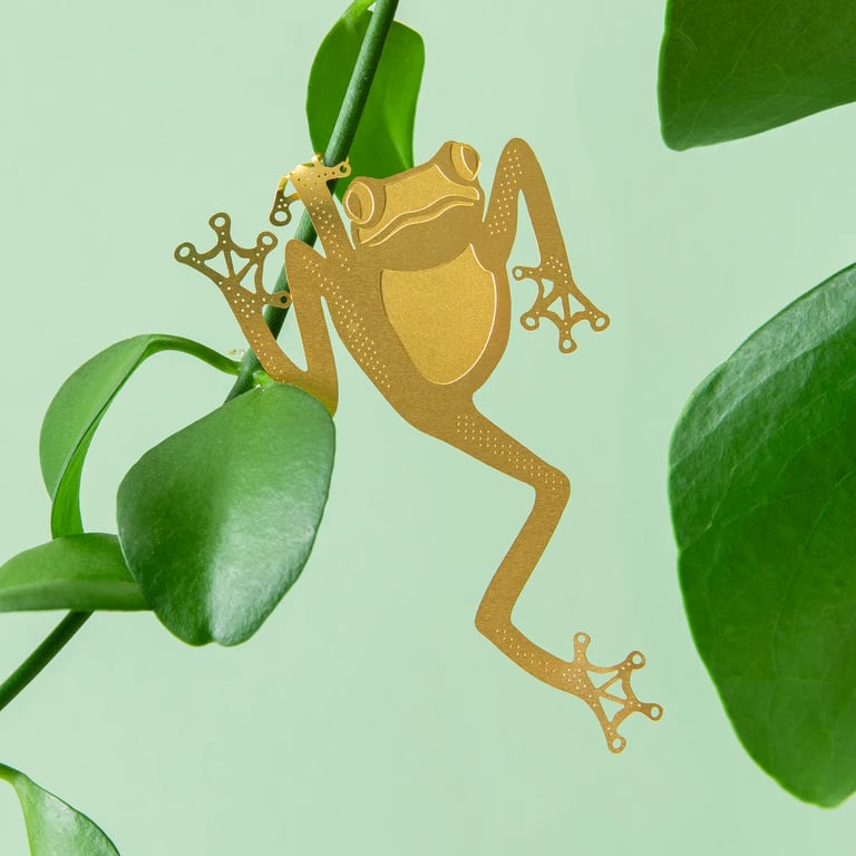 DÉCO ANIMAL POUR PLANTE - RAINETTE Image 3