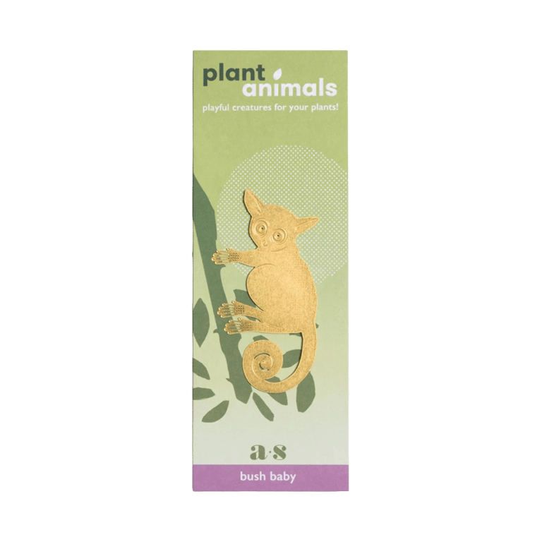 DÉCO ANIMAL POUR PLANTE - GALAGO