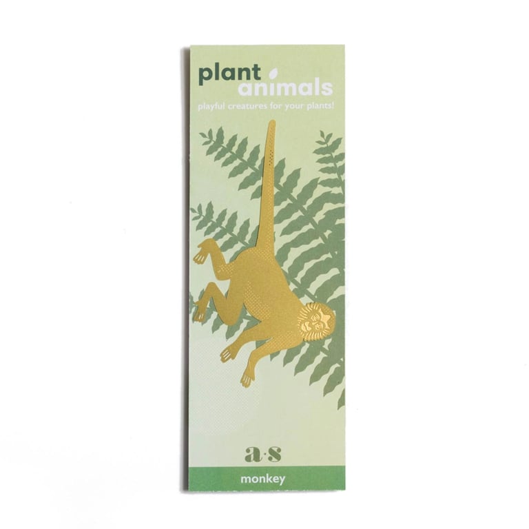 DÉCO ANIMAL POUR PLANTE - SINGE-ARAIGNÉE