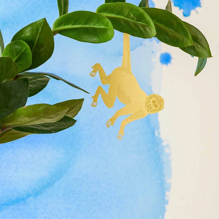DÉCO ANIMAL POUR PLANTE - SINGE-ARAIGNÉE Image 2