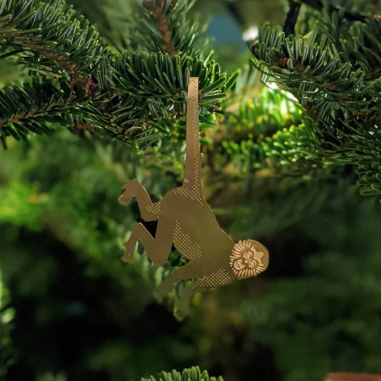 DÉCO ANIMAL POUR PLANTE - SINGE-ARAIGNÉE Image 3