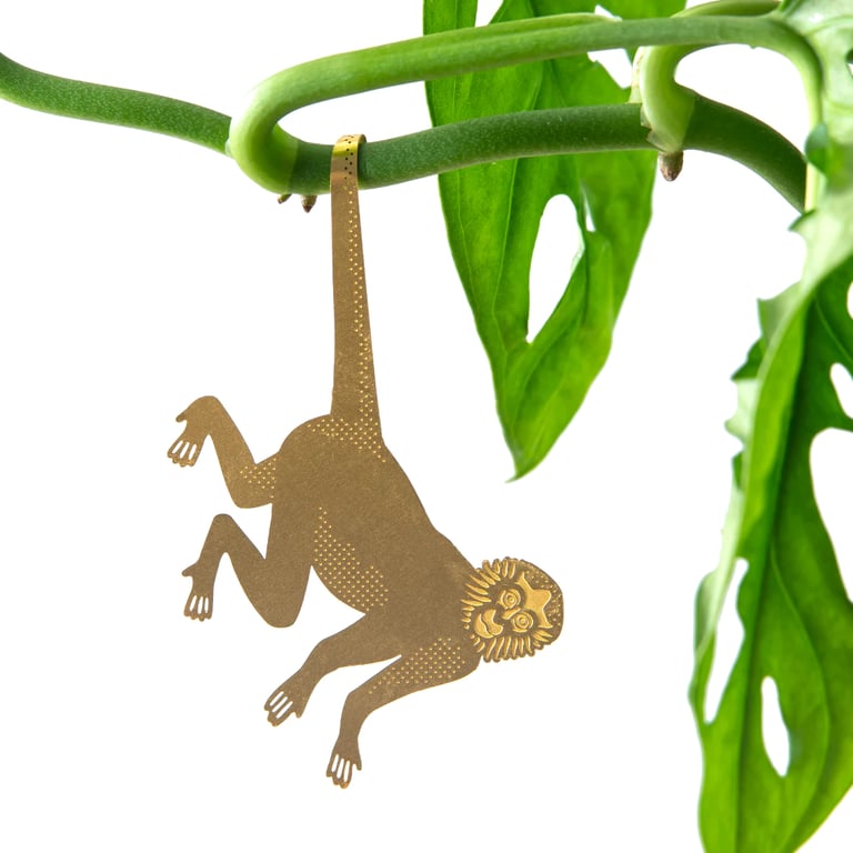 DÉCO ANIMAL POUR PLANTE - SINGE-ARAIGNÉE Image 5