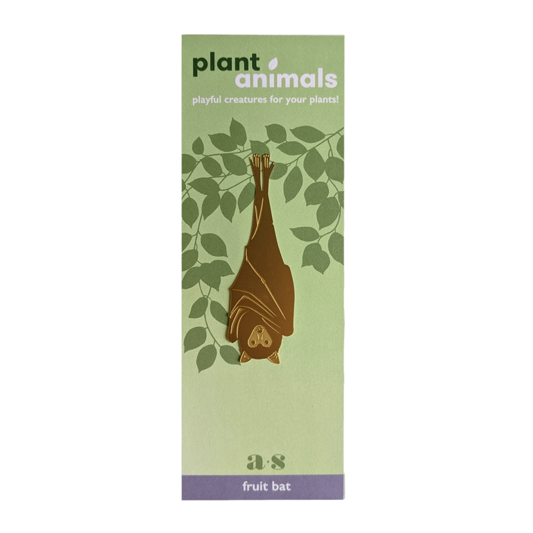 DÉCO ANIMAL POUR PLANTE - CHAUVE-SOURIS, ANOTHER STUDIO