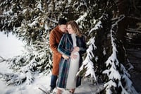 Image 2 of Winter Mini // Mini Deposit