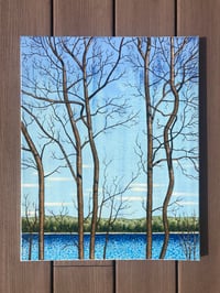 Image 1 of Spot Pond in Middlesex - 16”x20” Acrylic Painting