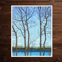 Spot Pond in Middlesex - 16”x20” Print