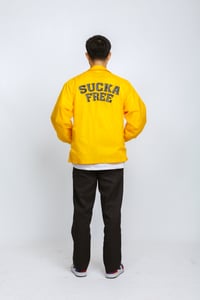 Image 2 of Everyday Baypedestrian Jacket - YELLOW