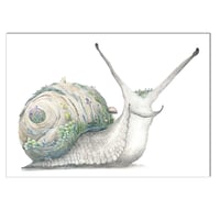 Image 3 of Beautiful Garden : Garden Snail and Garden Frog Prints