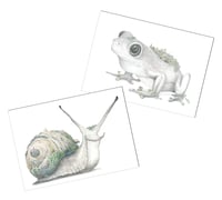 Image 1 of Beautiful Garden : Garden Snail and Garden Frog Prints