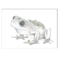 Image 5 of Beautiful Garden : Garden Snail and Garden Frog Prints