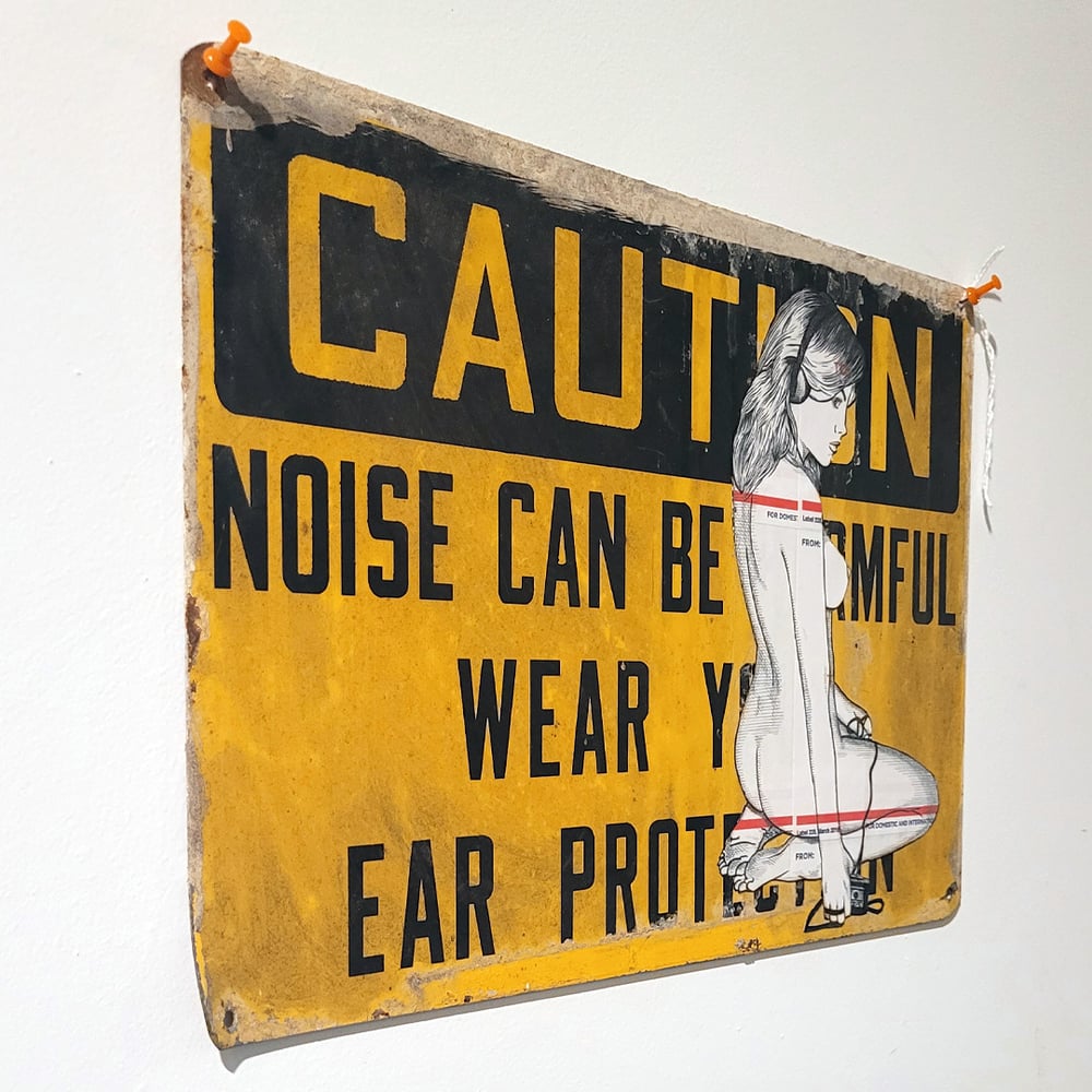 CAUTION: NOISE CAN BE HARMFUL WEAR YOUR EAR PROTECTION