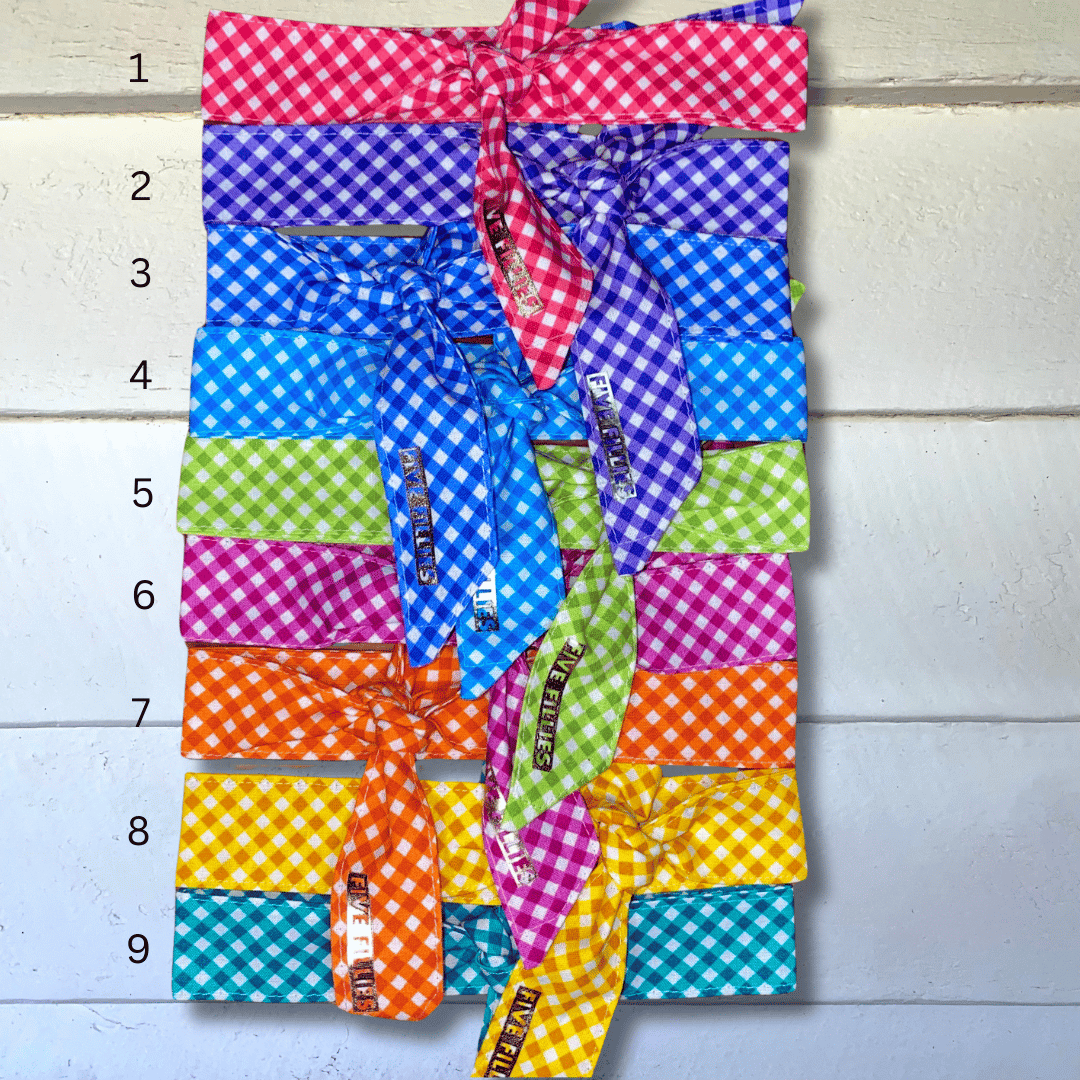 Image of Prima Gingham Mini Necktie Options 