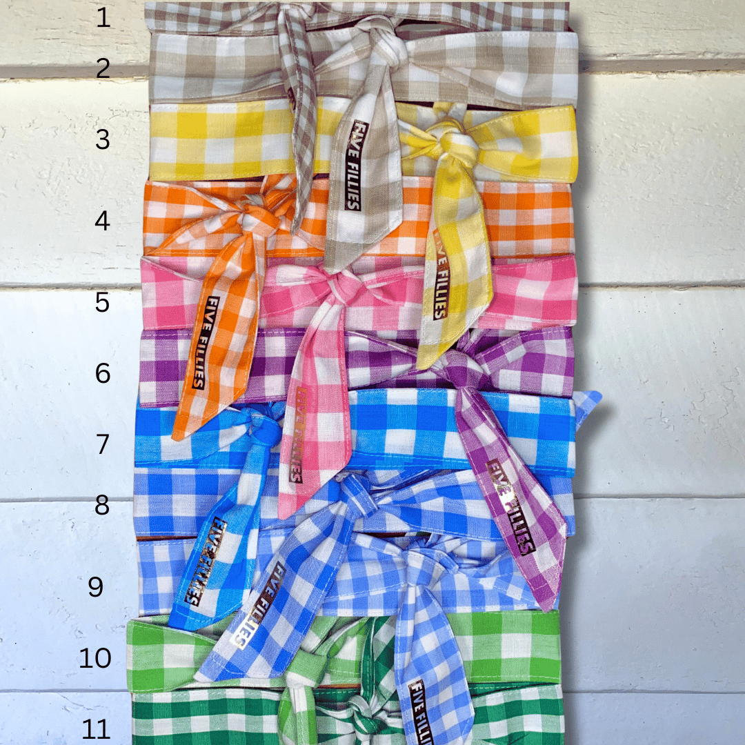 Image of Yarn Dyed Gingham Mini Necktie Options