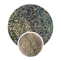 Image 1 of TOSS A COIN DARKENED METALLIC SHIMMER