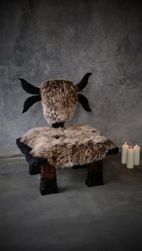 Image 2 of Yak Chair