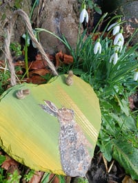 Image 1 of Hare slate heart