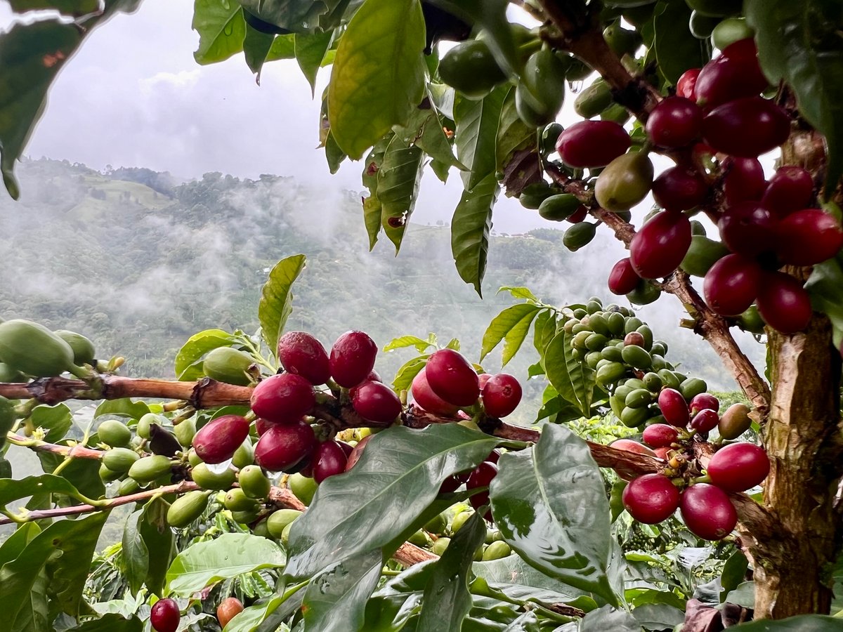 Image of Colombia - El Bombo