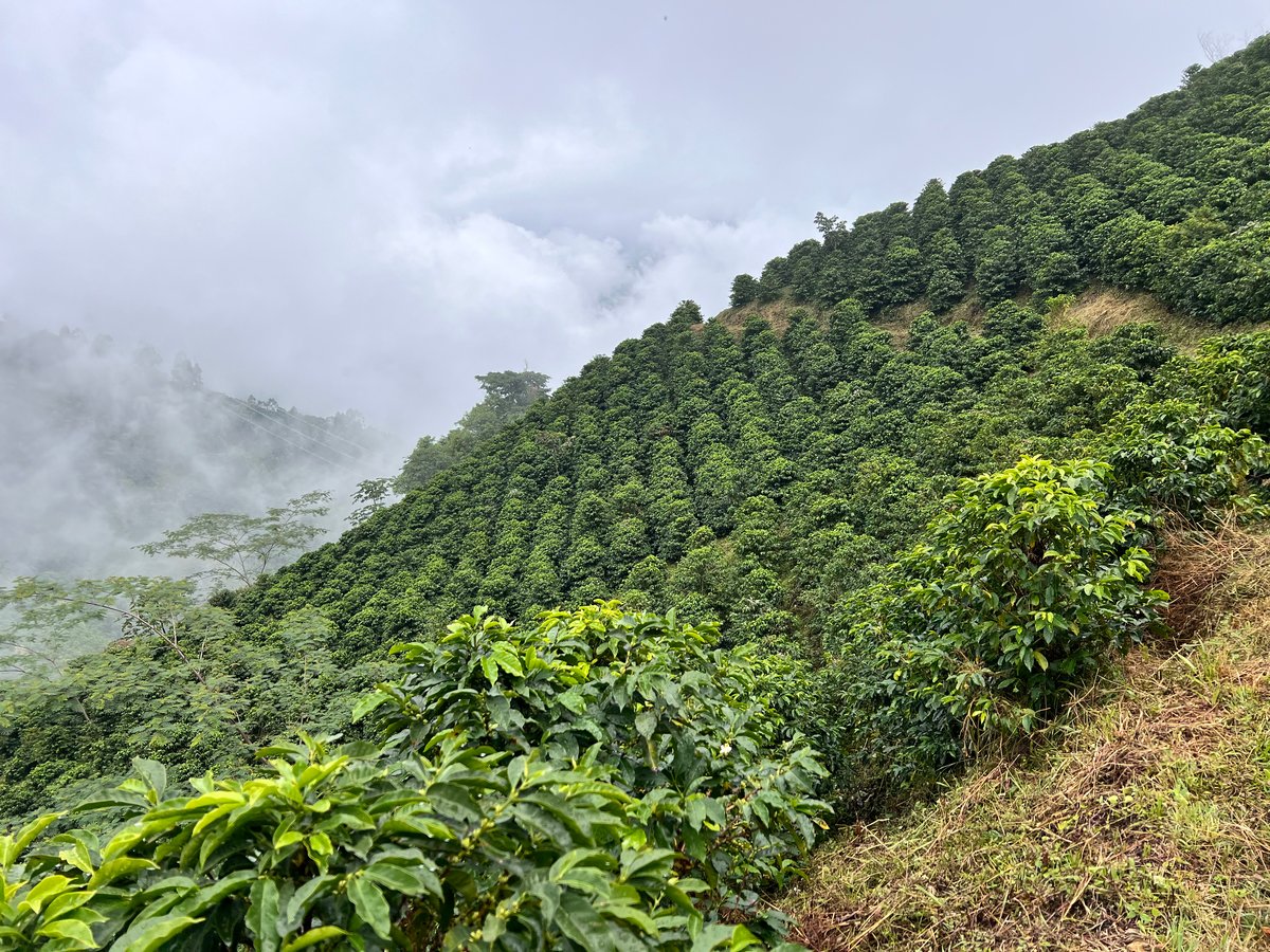 Image of Colombia - El Bombo