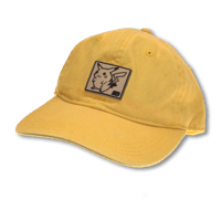 Electric Type Dad Hat