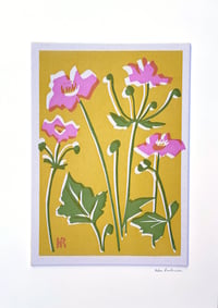 Image 4 of Pink Anenomes on Yellow