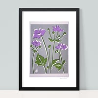 Image 2 of Lilac Anenomes on Grey