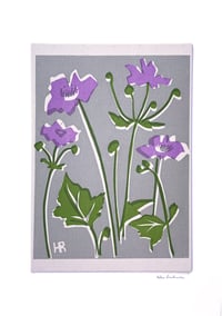 Image 5 of Lilac Anenomes on Grey