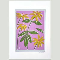 Image 3 of Yellow Rudbeckia on Pink