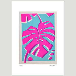 Image of Hot Pink Monstera