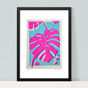 Image of Hot Pink Monstera