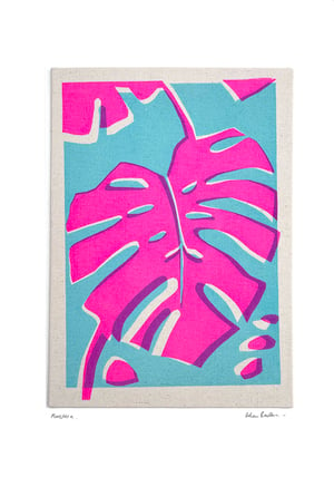 Image of Hot Pink Monstera